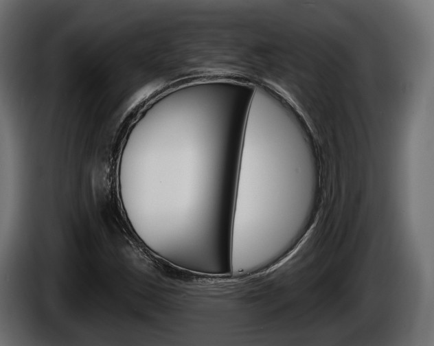 X0000085041163200703051019