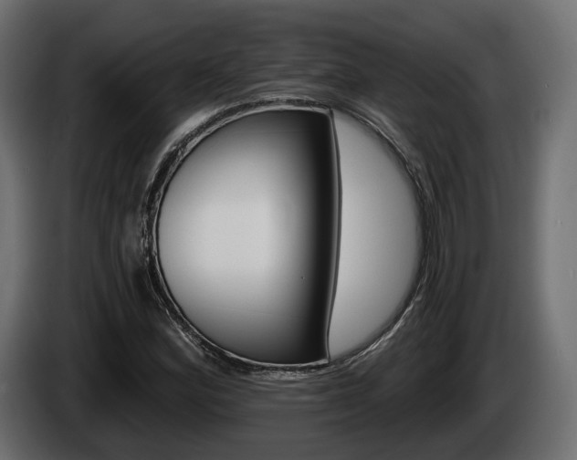 X0000085041164200703051019