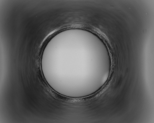 X0000085041166200703051019