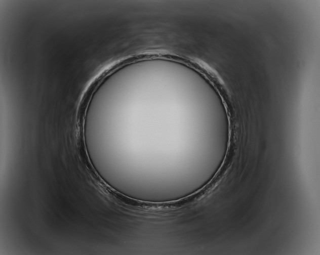X0000085041167200703051019