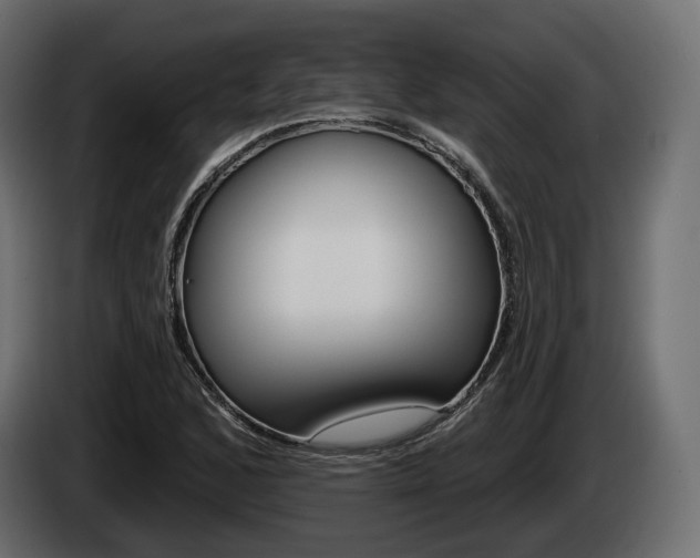 X0000085041168200703051019