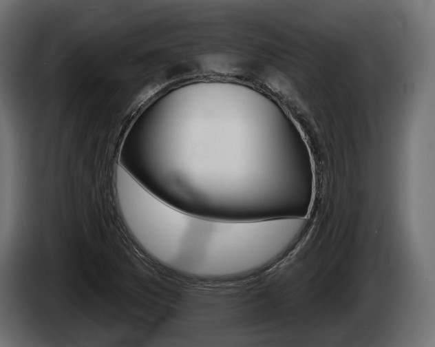 X0000085041169200703051019