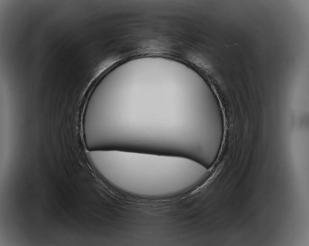 X0000085041170200703051019