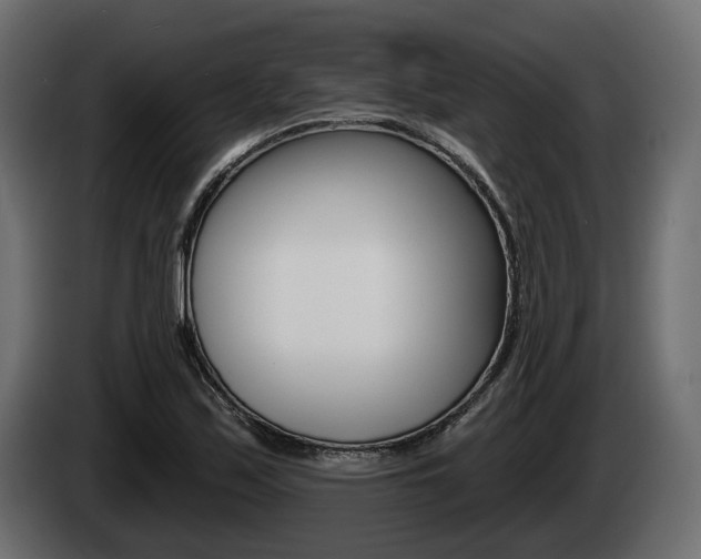 X0000085041171200703051019