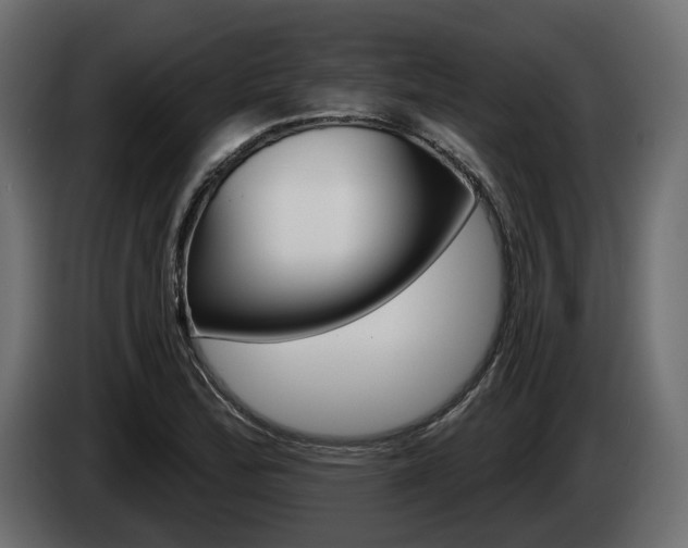 X0000085041172200703051019