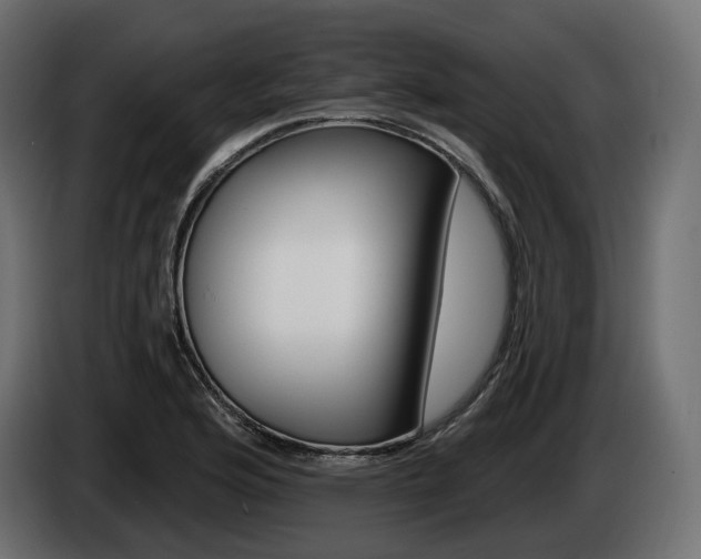 X0000085041176200703051019
