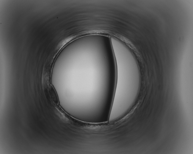 X0000085041177200703051019