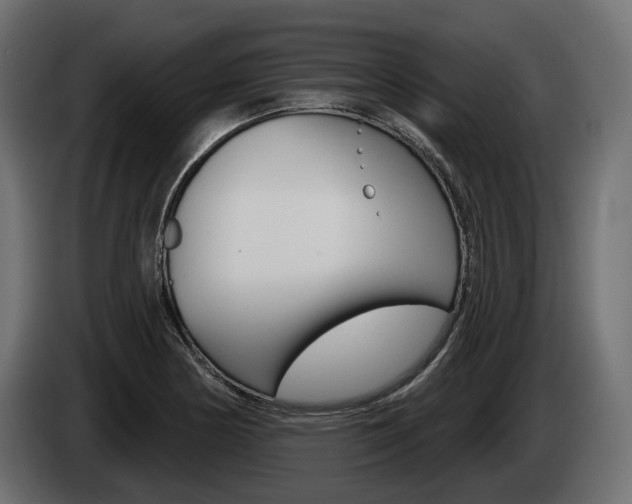 X0000085041178200703051019