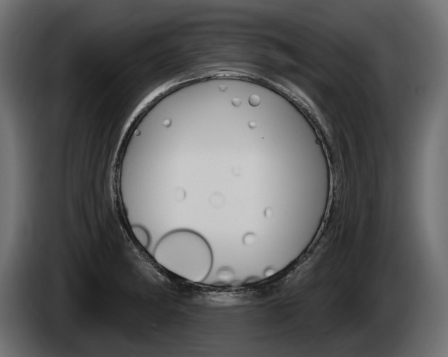 X0000085041182200703051019