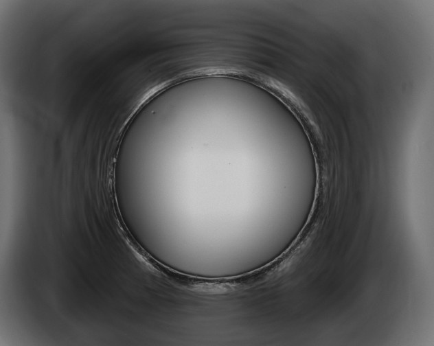 X0000085041185200703051019