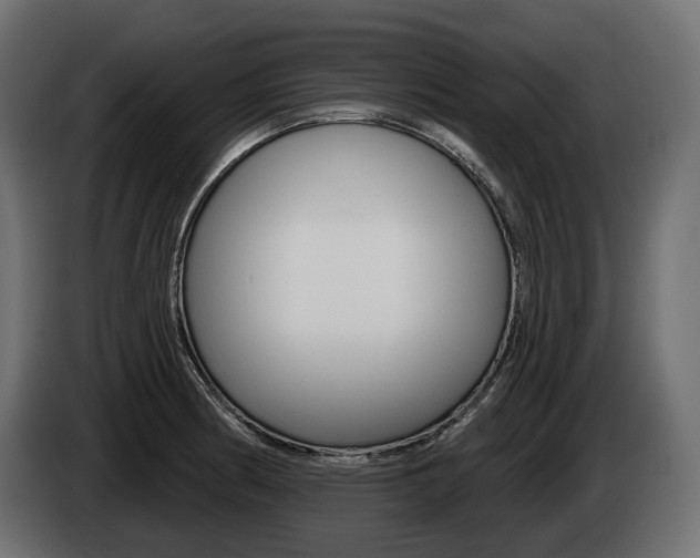 X0000085041186200703051019