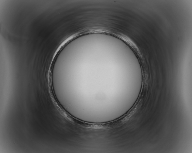 X0000085041190200703051019