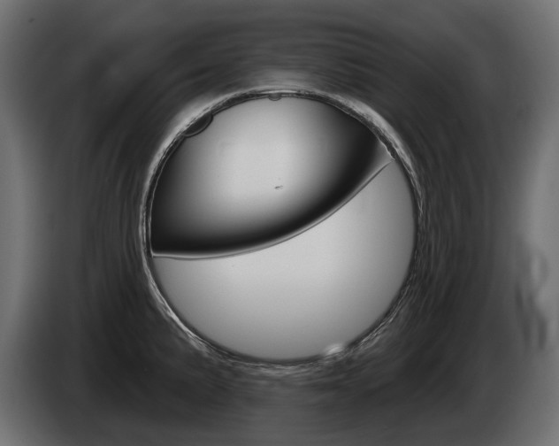 X0000085041191200703051019