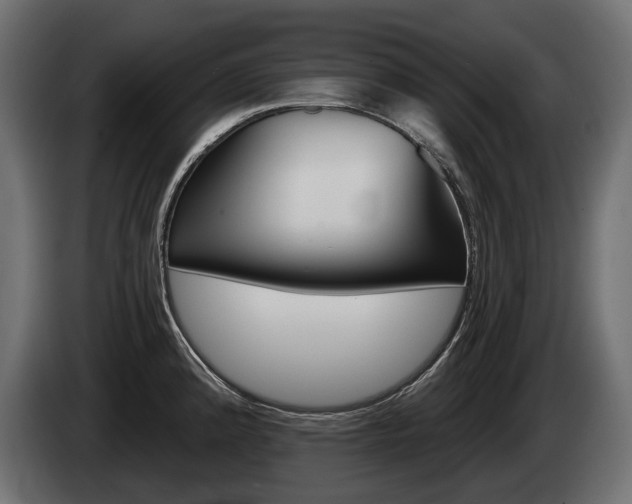 X0000085041192200703051019