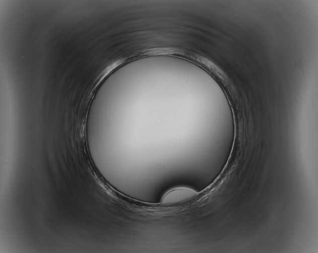 X0000085041193200703051019