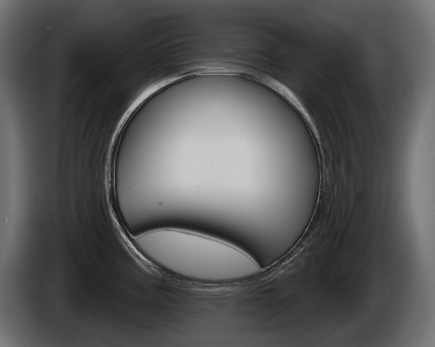 X0000085041195200703051019