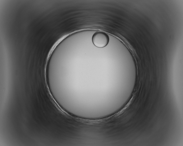 X0000085041196200703051019