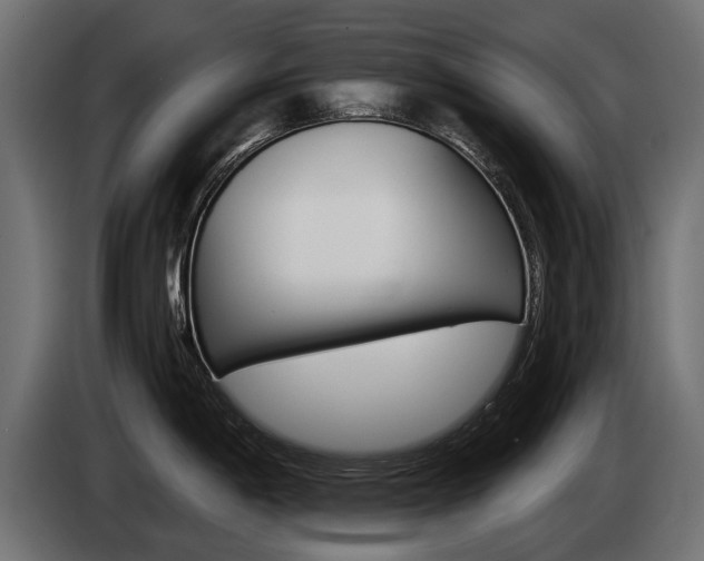 X0000085041198200703051019