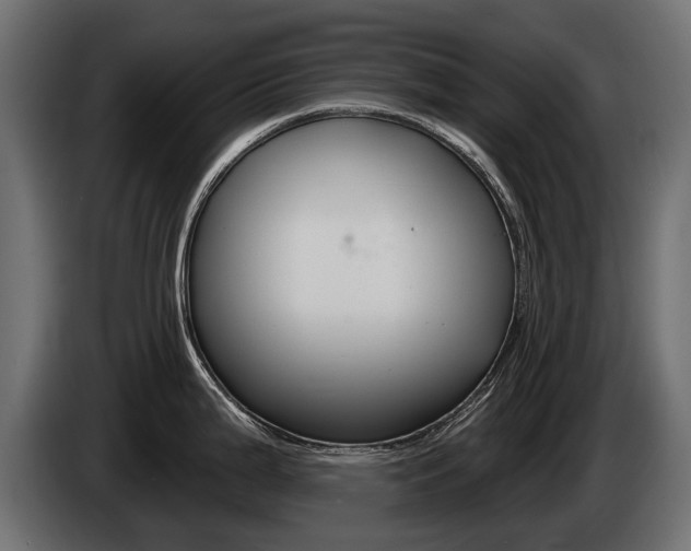 X0000085041199200703051019