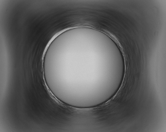 X0000085041200200703051019