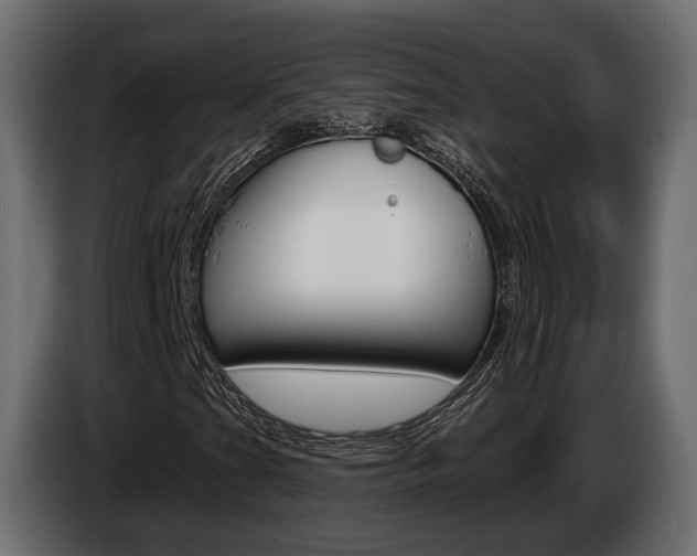 X0000085041201200703051018