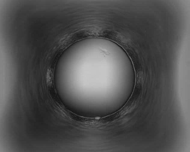 X0000085041202200703051018