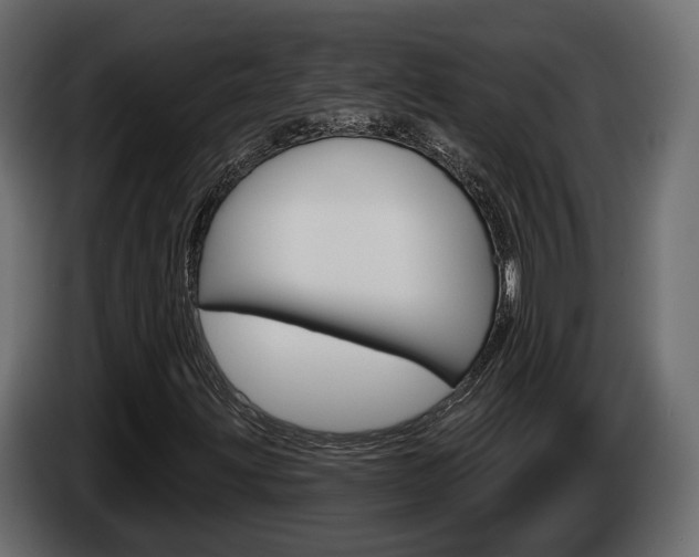X0000085041203200703051018