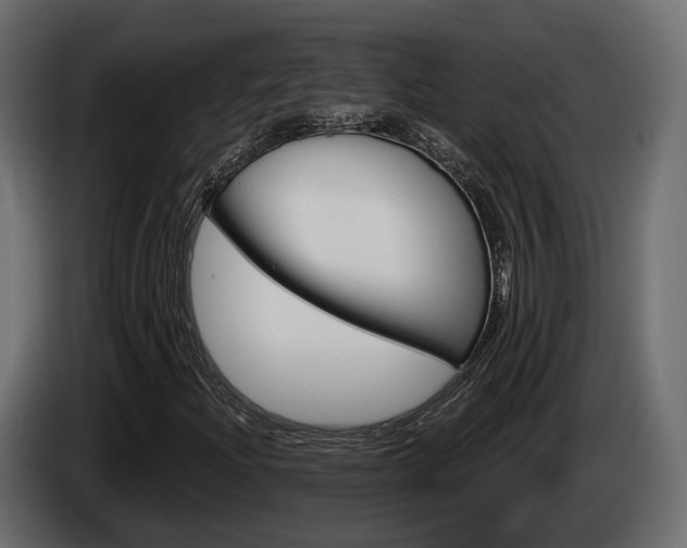 X0000085041204200703051018