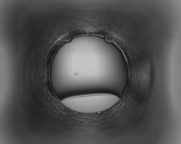 X0000085041205200703051018