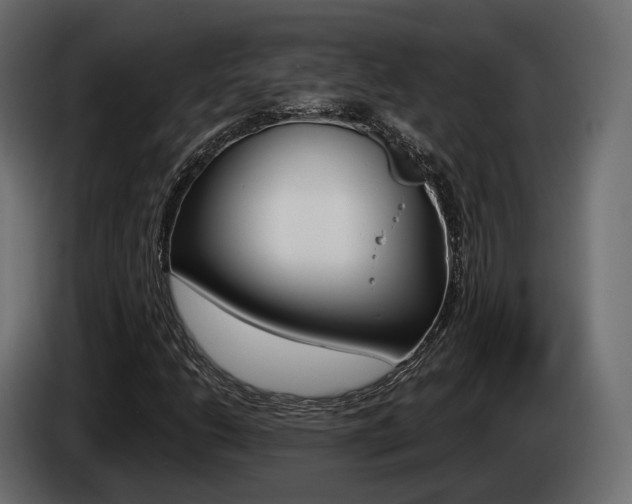 X0000085041206200703051018