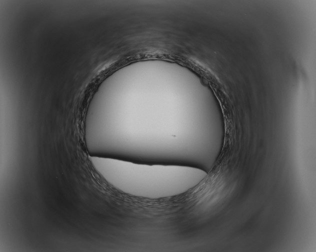 X0000085041207200703051018