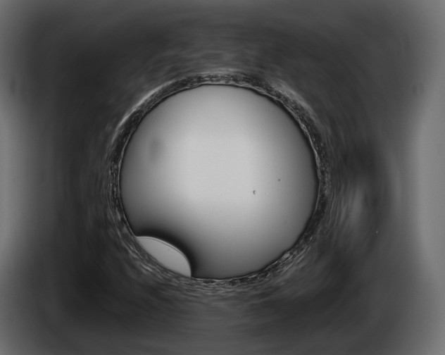 X0000085041208200703051018