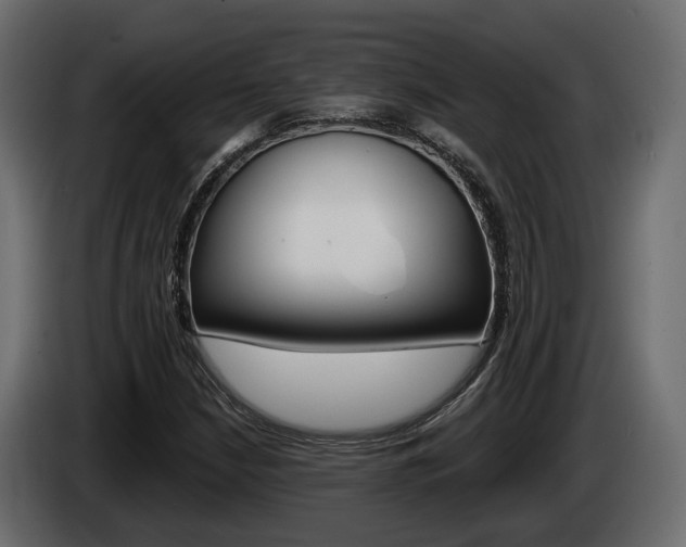 X0000085041210200703051018