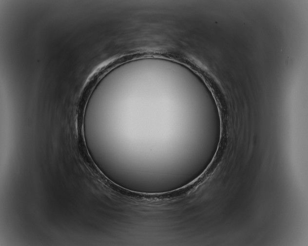 X0000085041214200703051018