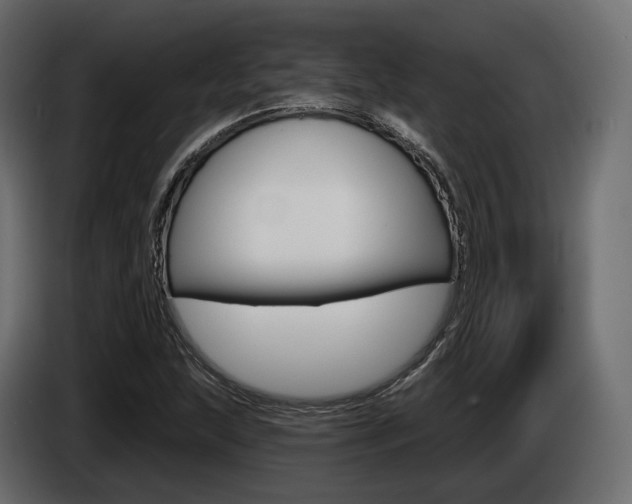 X0000085041215200703051018