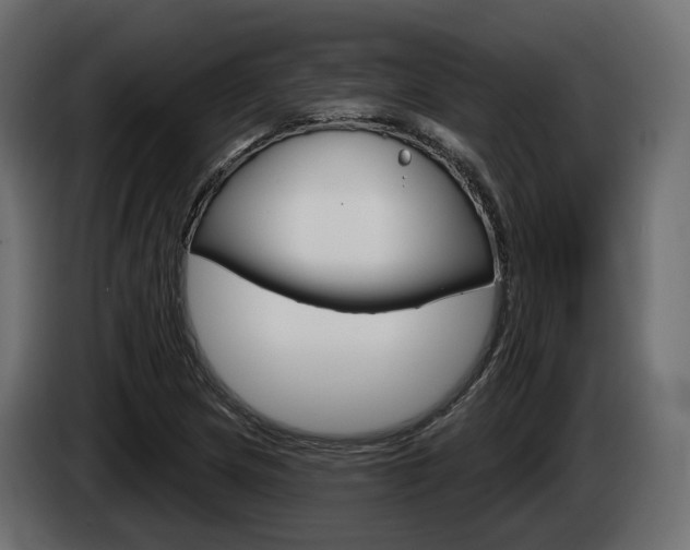 X0000085041217200703051018