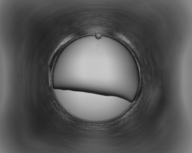 X0000085041219200703051018