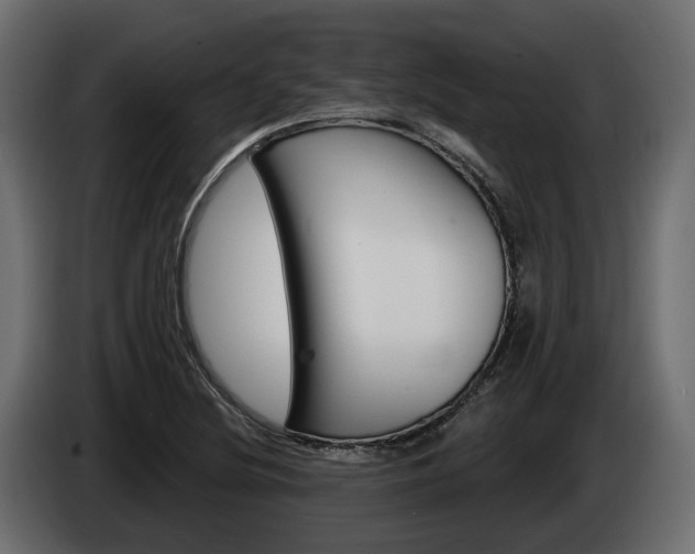 X0000085041220200703051019