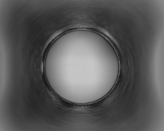 X0000085041221200703051019