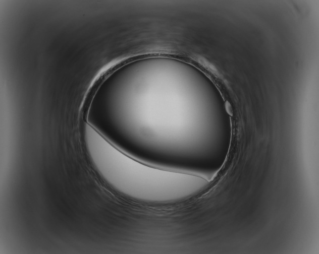X0000085041222200703051019