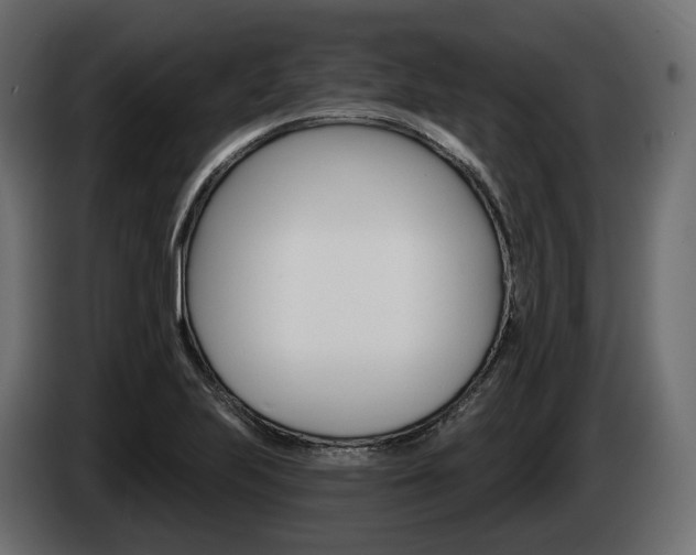 X0000085041223200703051019