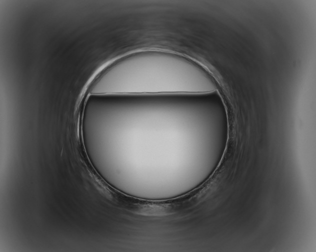 X0000085041224200703051019