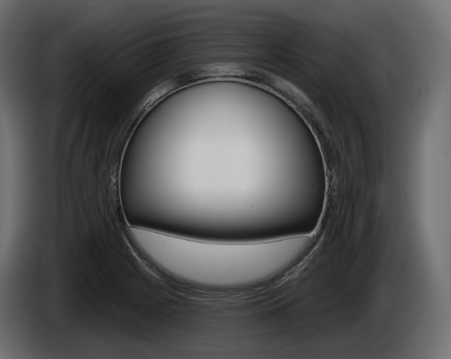 X0000085041225200703051019
