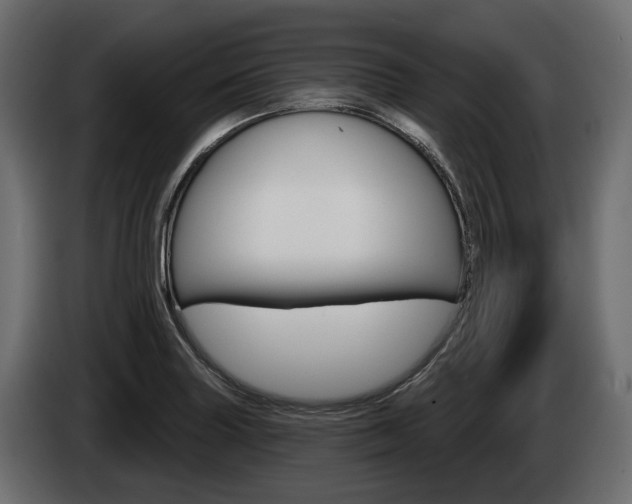 X0000085041227200703051019