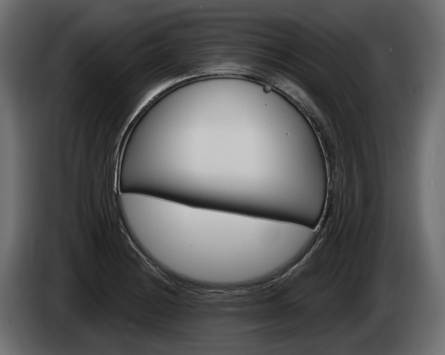 X0000085041228200703051019