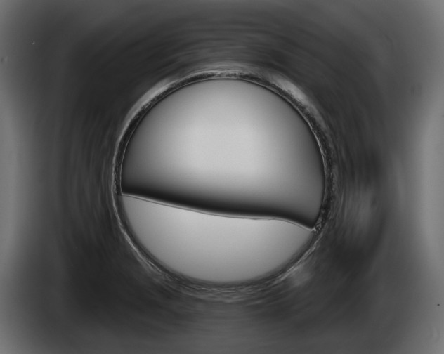 X0000085041229200703051019