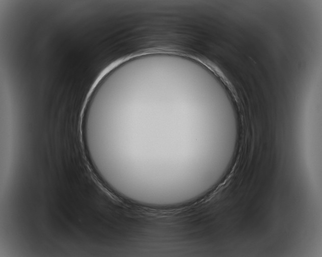 X0000085041230200703051019