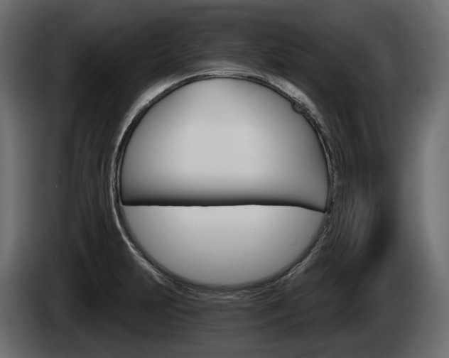 X0000085041231200703051019
