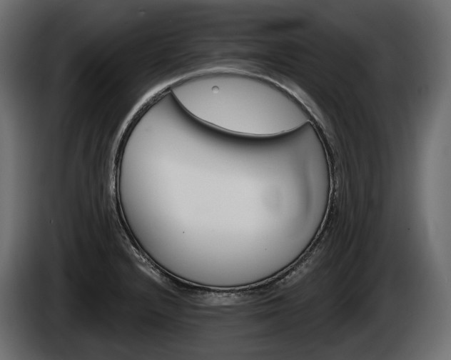 X0000085041232200703051019