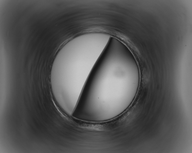 X0000085041233200703051019
